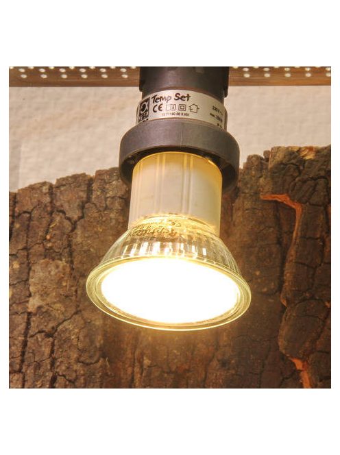 JBL ReptilDay Halogen - Halogén spot izzó terráriumba (100W)