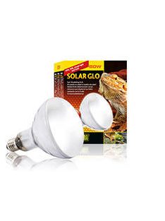   Exo-terra Solar Glo - izzó (80W) terráriumi állatok részére