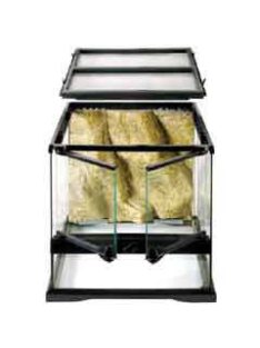   Exo-Terra Mini Wide Terrarium - Dekoratív kivitelű üvegterrárium (30x30x30cm)