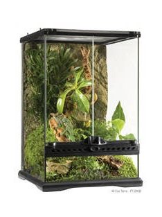   Exo-Terra Mini Tall Terrarium - Dekoratív kivitelű üvegterrárium (30x30x45cm)