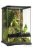 Exo-Terra Mini Tall Terrarium - Dekoratív kivitelű üvegterrárium (30x30x45cm)