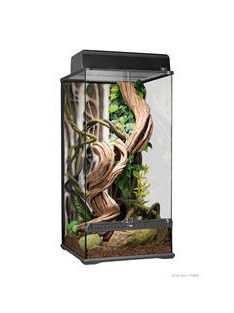   Exo-Terra Small Natural Glass Terrarium - Dekoratív kivitelű üvegterrárium (45x45x90cm)