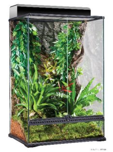   Exo-Terra X-Tall Medium Terrarium - Dekoratív kivitelű üvegterrárium (60x45x90cm)