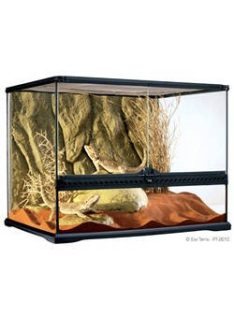   Exo-Terra Medium Wide Terrarium - Dekoratív kivitelű üvegterrárium (60x45x45cm)
