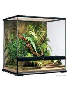   Exo-Terra Medium Tall Terrarium - Dekoratív kivitelű üvegterrárium (60x45x60cm)