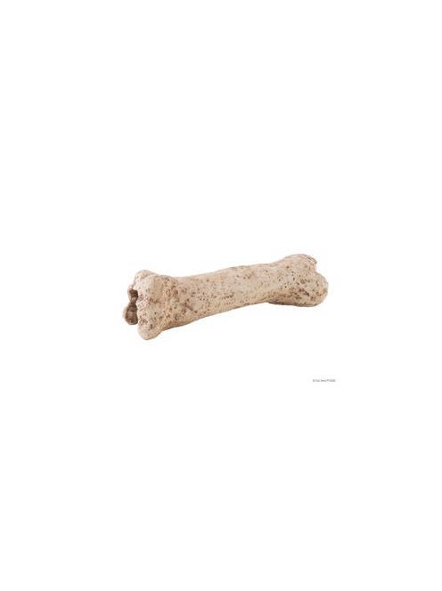 Exo-Terra Dinosaur Bone - Dinoszaurusz csont - bújó hüllők részére (19cm)