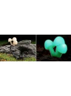 H.EXO-TERRA 2843 fatörzs gombával