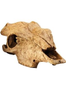   Exo-Terra Buffalo Skull - bölény koponya formájú búvóhely hüllők részére (13x9x24cm)