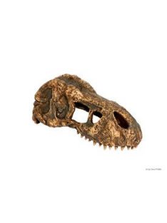   Exo-Terra T-Rex Skull Small - T-Rex koponya formájú búvóhely hüllők részére (7x15x6cm)