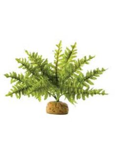   Exo-Terra Rainforest Plant Boston Fern Small - Terráriumi műnövény dekoráció (szoba páfrány) cca.10cm