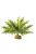 Exo-Terra Rainforest Plant Boston Fern Small - Terráriumi műnövény dekoráció (szoba páfrány) cca.10cm