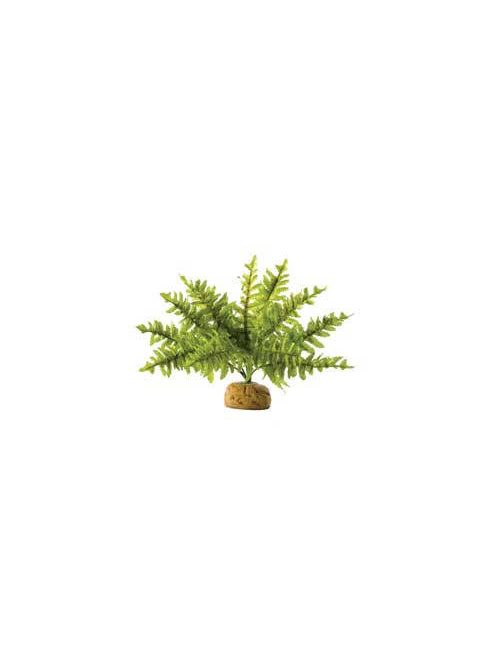 Exo-Terra Rainforest Plant Boston Fern Small - Terráriumi műnövény dekoráció (szoba páfrány) cca.10cm