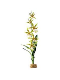   Exo-Terra Rainforest Plant Spider Orchid - Terráriumi műnövény dekoráció (Pók Orchidea) cca.45cm