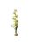 Exo-Terra Rainforest Plant Spider Orchid - Terráriumi műnövény dekoráció (Pók Orchidea) cca.45cm