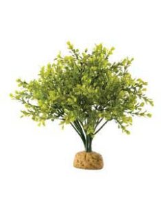 Hagen Exo Terra földi esőerdei műnövény - Bukszus