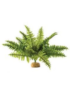   Exo-Terra Rainforest Plant Boston Fern Medium - Terráriumi műnövény dekoráció (szoba páfrány) cca.20cm