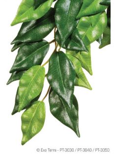   Exo-Terra Silk Plant Ficus Medium - Terráriumi selyem műnövény dekoráció (Fikusz) cca.42cm