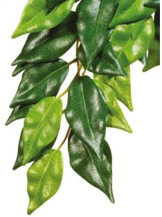   Exo-Terra Silk Plant Ficus Large - Terráriumi selyem műnövény dekoráció (Fikusz) cca.60cm