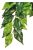 Exo-Terra Silk Plant Ficus Large - Terráriumi selyem műnövény dekoráció (Fikusz) cca.60cm