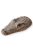 Exo-Terra Croc - lebegő teknőssziget (krokodil) vizi teknősők részére (21x10.5x4.5cm)