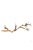 Exo-Terra Forest Branch Sanblasted Grapevine Large - Mászóágak terráriumba (szőlőből) - dekoráció (60cm)