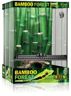   Exo-Terra Bamboo Forrest terrárium Small - Dekoratív kivitelű üvegterrárium (30x30x45cm)
