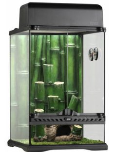   Exo-Terra Bamboo Forrest terrárium Small - Dekoratív kivitelű üvegterrárium (30x30x45cm)