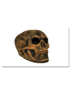 AquaDeckor - kerámia koponya (M) - akváriumba (cca.15cm)