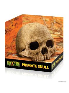   Exo-Terra Primate Skull - főemlős koponya formájú búvóhely hüllők részére (12cm)