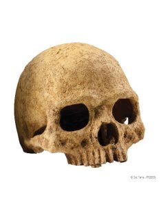   Exo-Terra Primate Skull - főemlős koponya formájú búvóhely hüllők részére (12cm)