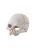 Hagen Exo Terra Primate Skull - búvóhely (koponya formájú) terráriumokba