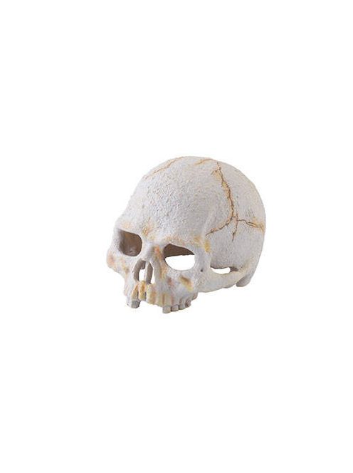 Hagen Exo Terra Primate Skull - búvóhely (koponya formájú) terráriumokba