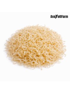   Grindalféreg- eleségtáplálék 4-7cm közötti axolotloknak