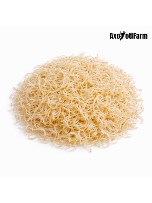 Grindalféreg- eleségtáplálék 4-7cm közötti axolotloknak
