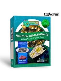   Rotifer Brachionus pete keltetéshez- Rotifer Brachionus eggs