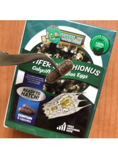   Rotifer Brachionus pete keltetéshez- Rotifer Brachionus eggs