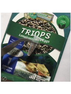   Triops Longicaudatus pete keltetéshez-Triops Longicaudatus Eggs