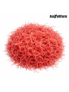   Tubifex-Aulophorus furcatus- vízben élő féreg, apró tubifex féle -0,5 dl