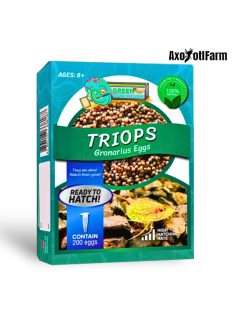 Triops Granarius peték keltetéshez-Triops Granarius Eggs