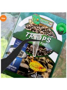 Triops Granarius peték keltetéshez-Triops Granarius Eggs