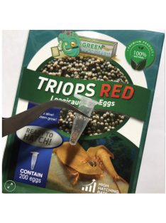   Triops Red Longicaudatus pete keltetéshez-Triops Red Longicaudatus eggs