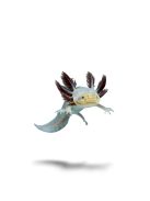 Copper axolotl (5-10 cm)