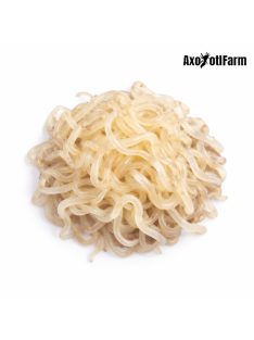   Földigiliszta fehér - Speciális, saját tenyésztésű élő apró giliszta - 4-6  cm közötti axolotlnak